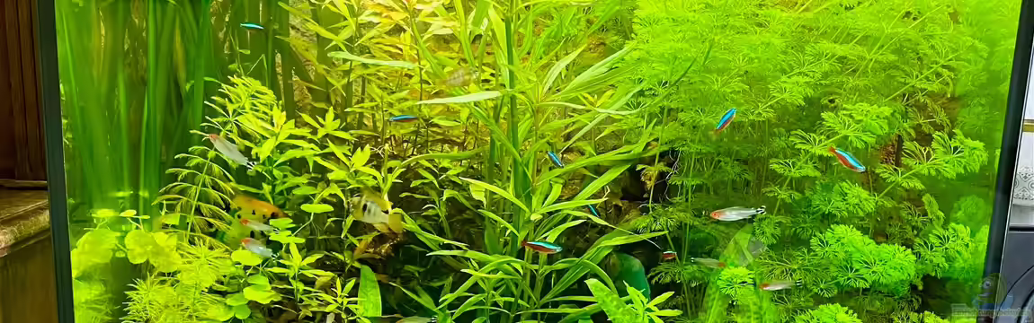 Lido 200 Südamerika von BenCCAA