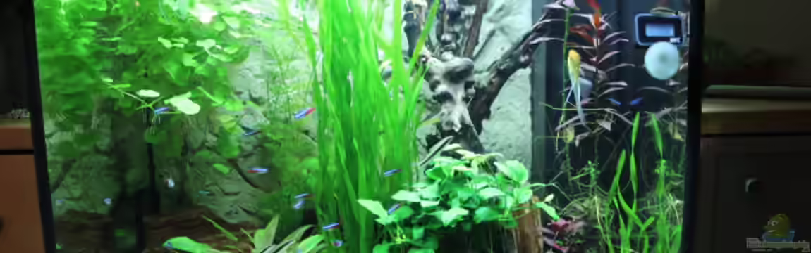 Lido 200 von spektukal