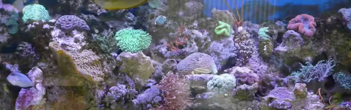 Little Ocean... von Marc Waidelich