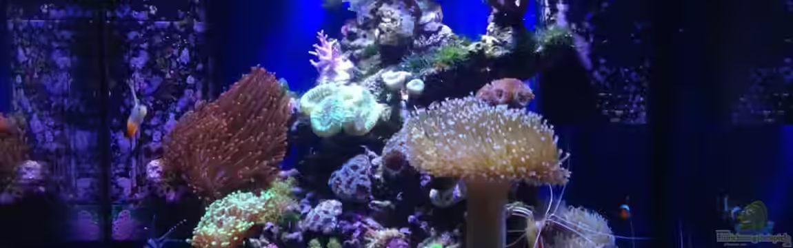 Little Sea von MW Luca