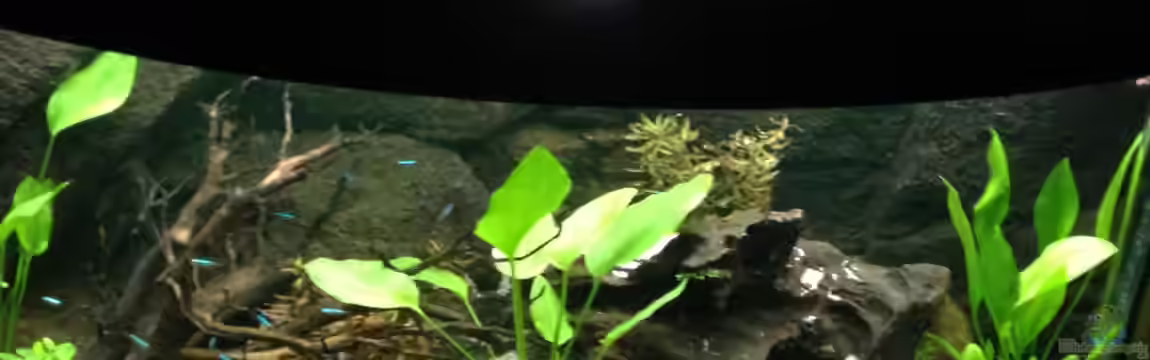 Little Southamerica von Malawilike