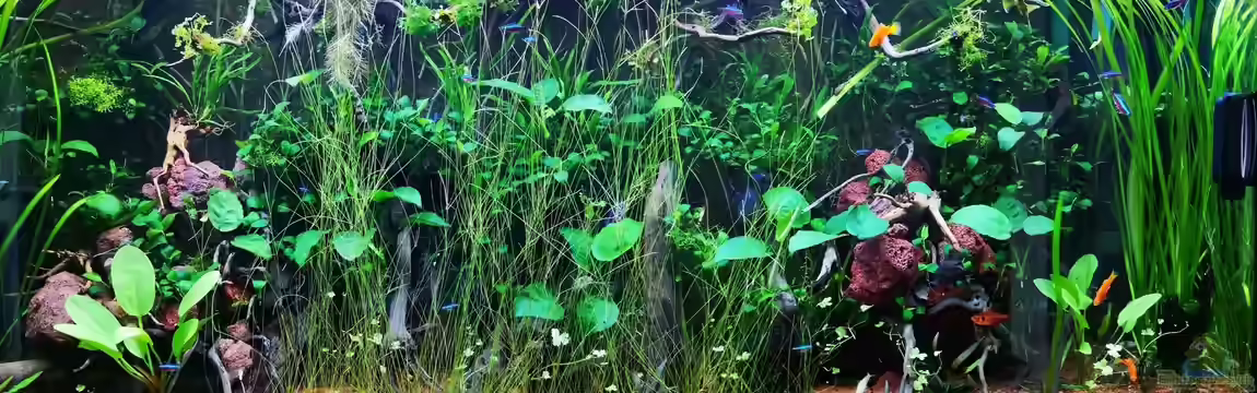 LowTech Naturescaping von Steven Müller