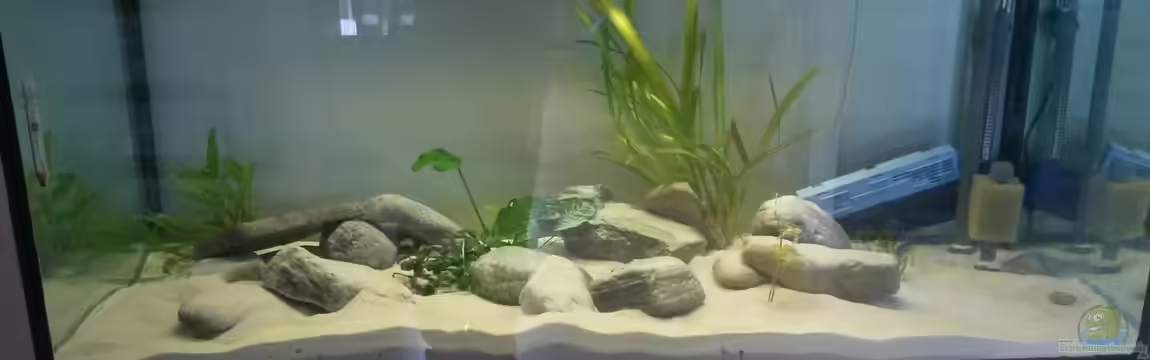 Malavold von Sechzivold