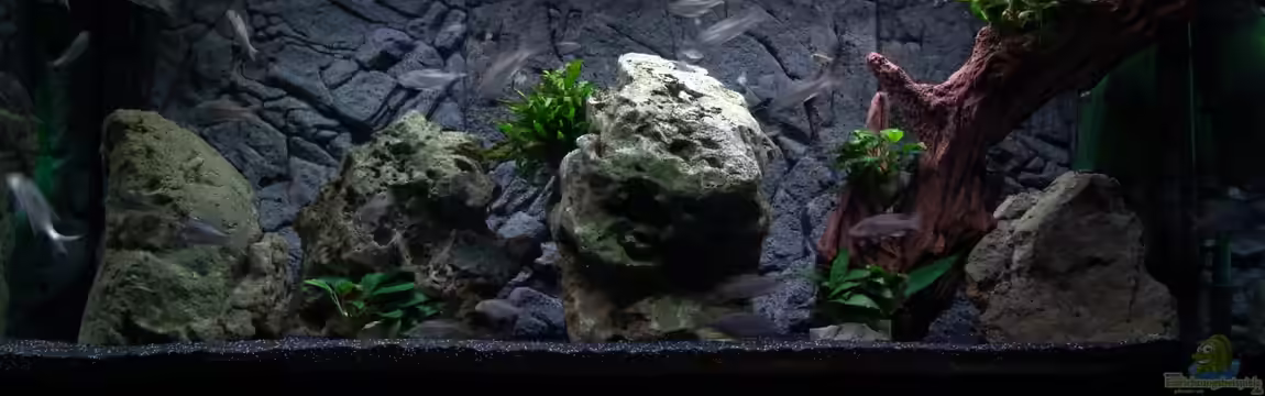 Malawi 1 von Spaceace