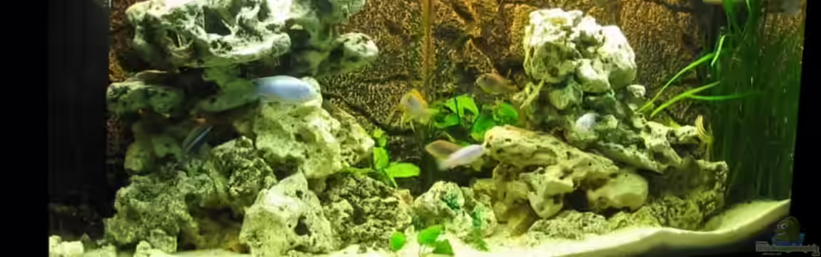 MALAWI 240 (2006-2008) von Deutschmaschine