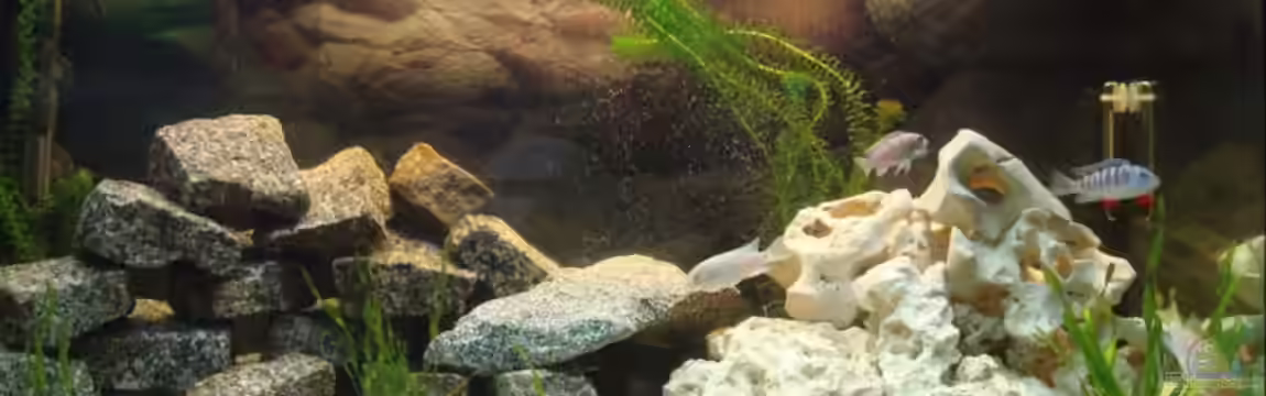 MALAWI 250 l von Marc Müller