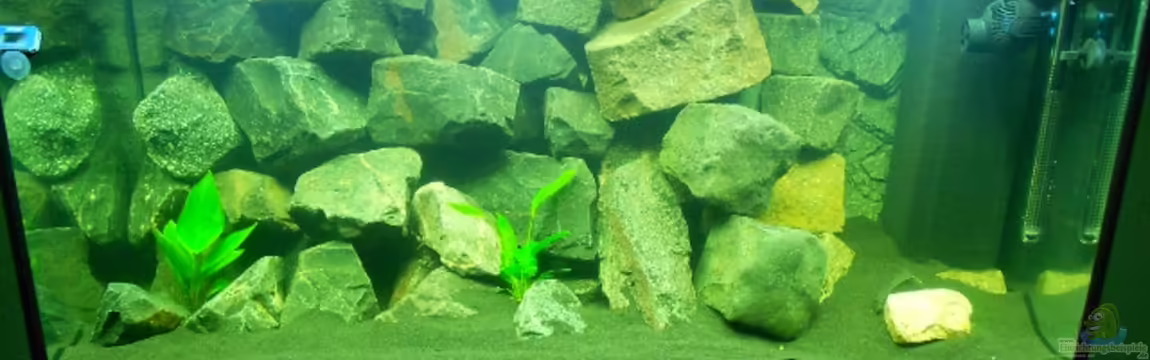 Malawi 330Liter von Philipp Spindler