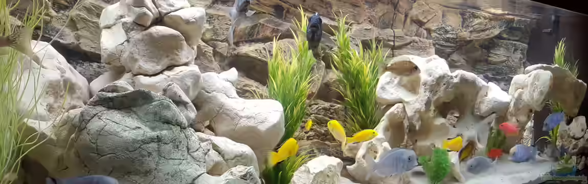 Malawi Becken von Mare