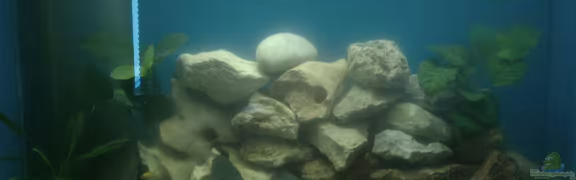 Malawi-dream von Bas-ti