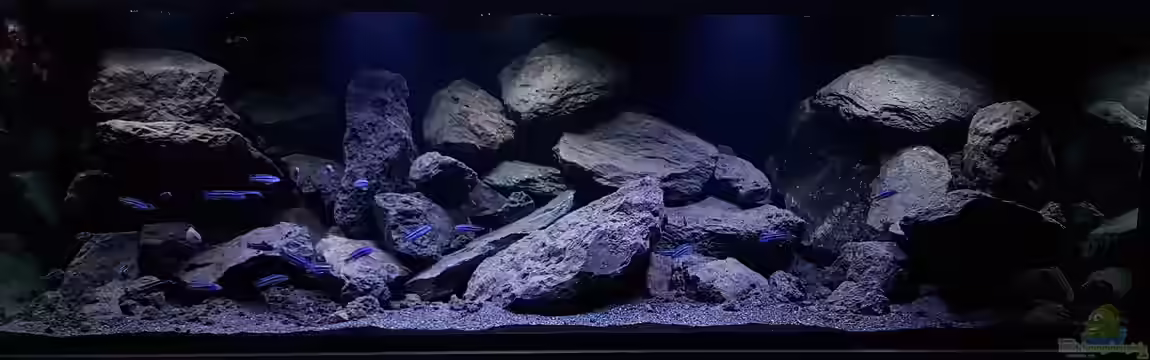 Malawi Geröllzone von Gernot