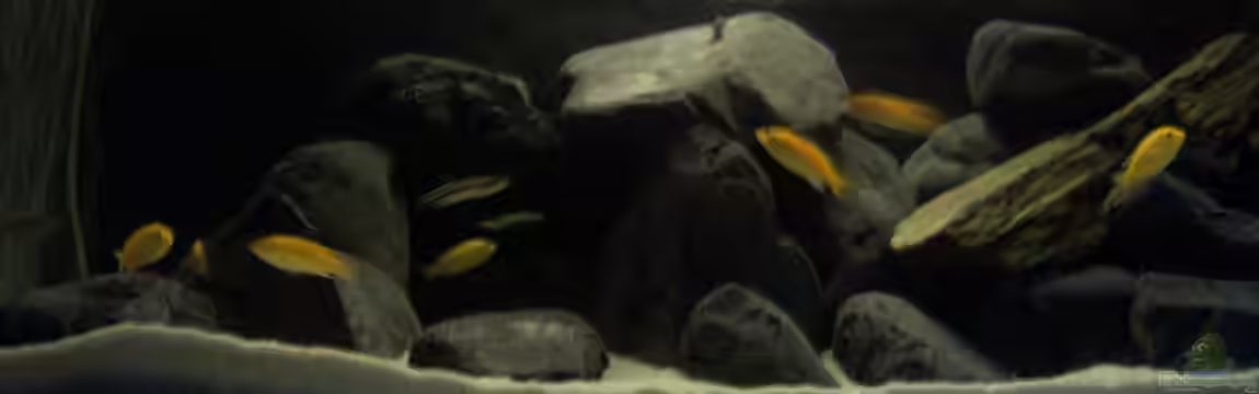 Malawi-Marmor von BRANDNEW