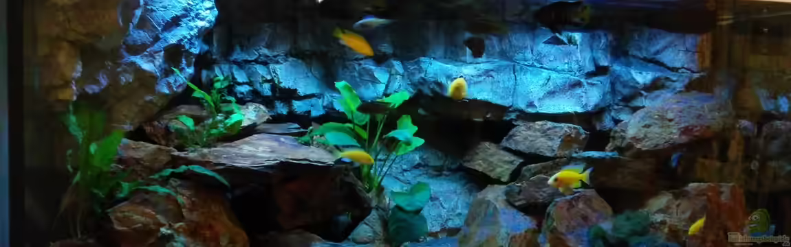 Malawi Sun Rise von FunkyTraut