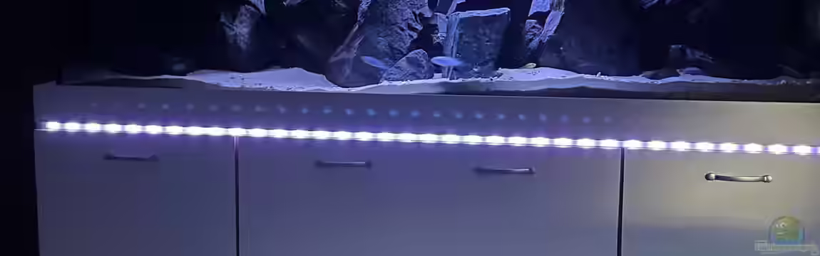 Malawi Tank von Alex261084