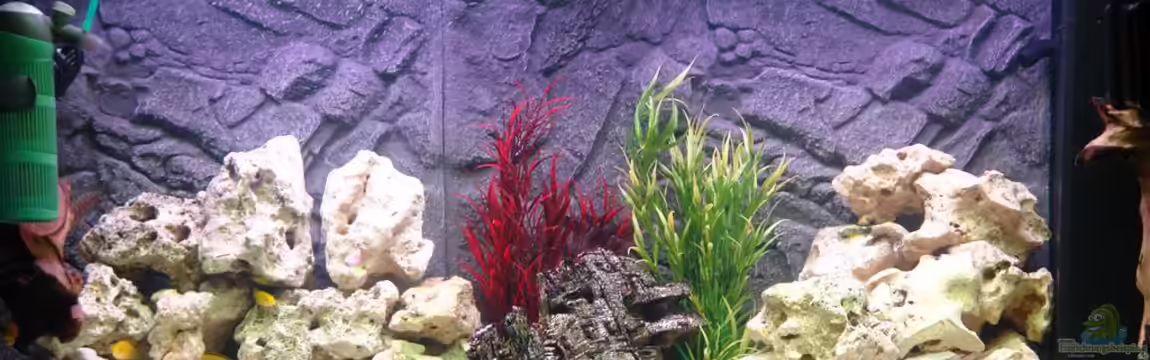 Malawi Vision 260 von Sascha Pfeiff