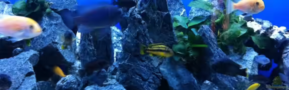 Malawi von Danny Michel