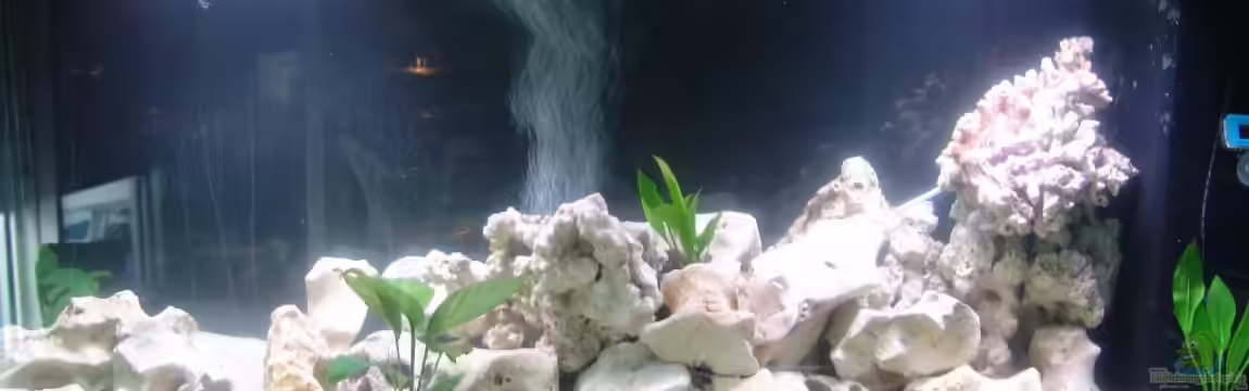 Malawi von Fabian Lehmann