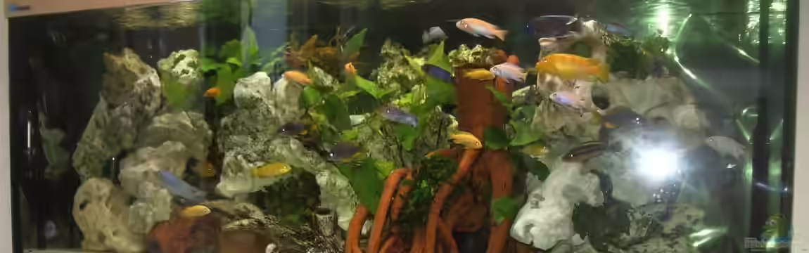 Malawi von Thoralf Berner