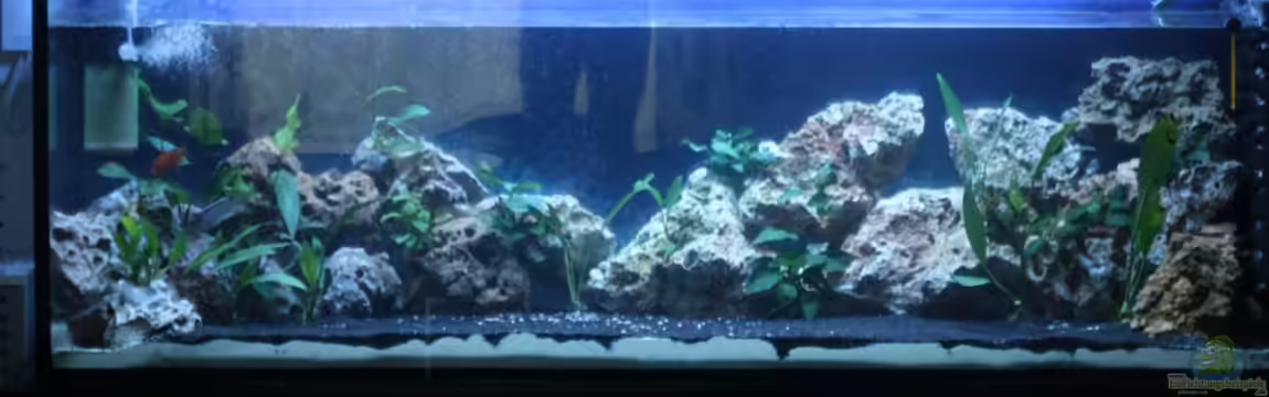 Malawi Welt von BAD666