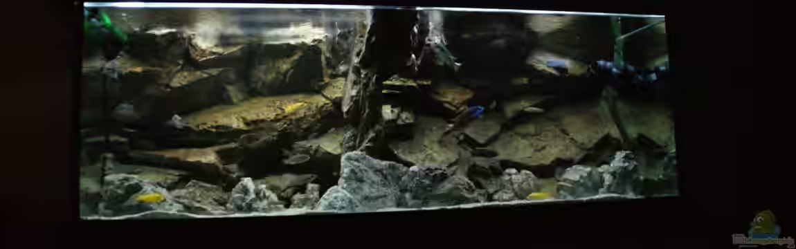 Malawi World( nur noch Beispiel, kommt neues) von Frank Wollenburg