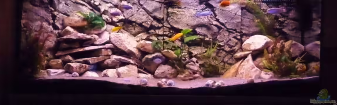 Malawi XX351XX - wurde aufgeloest von Stefan J.