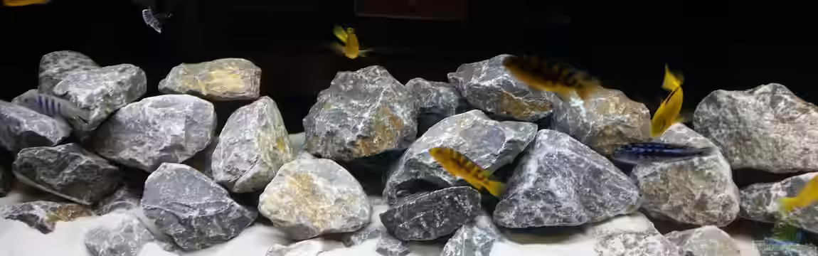 Malawibecken von 210483