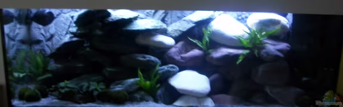 Malawibecken von Malawi-Anfänger