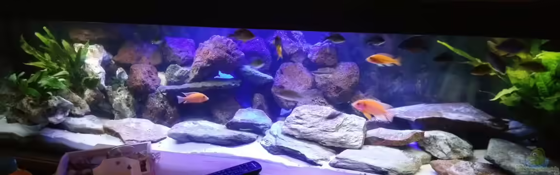 MalawiBecken von Mia Sun