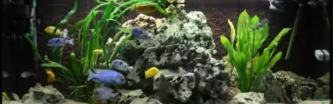 Malawibecken von Timo_76761