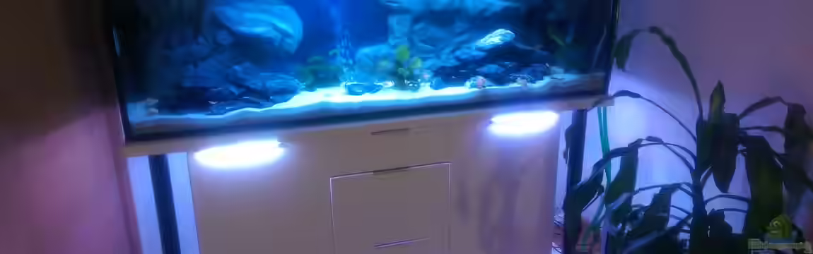 Mannis Malawiwelt von Balian