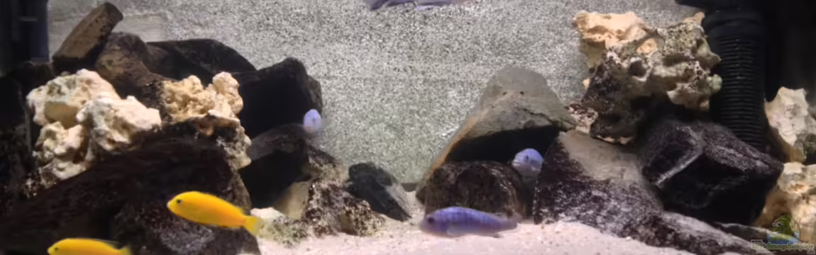 Marcos Malawis von Marco Grüning