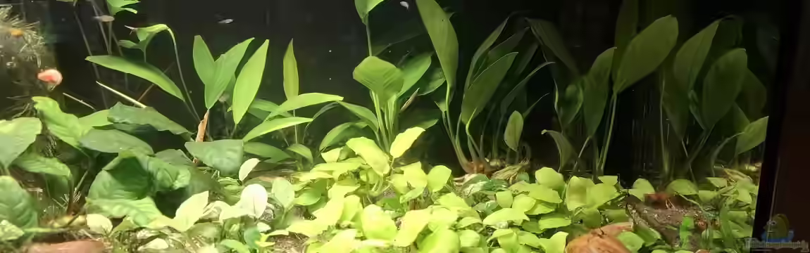 Marina Offenes Becken von Valhall