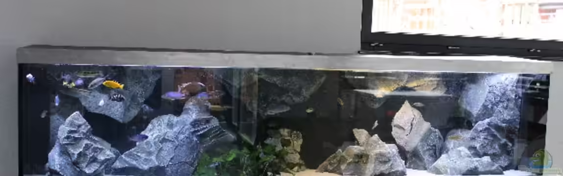 Mazinzi Reef von Lemans