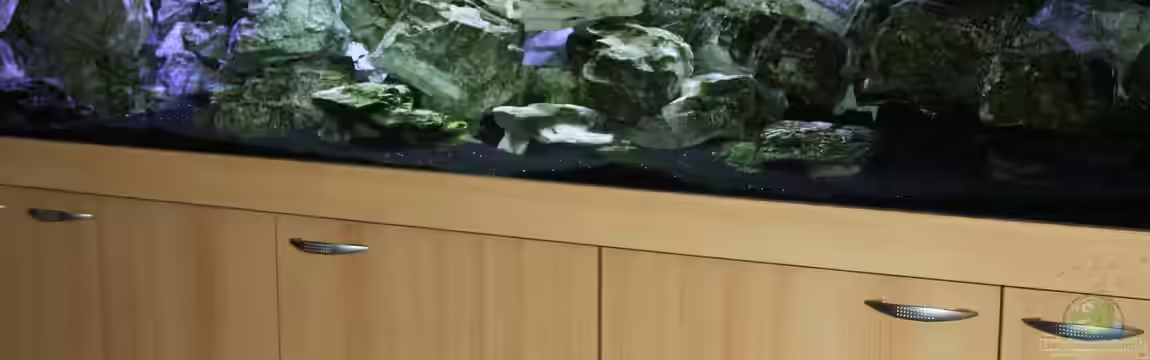 Mbunas Traum von Dirkan