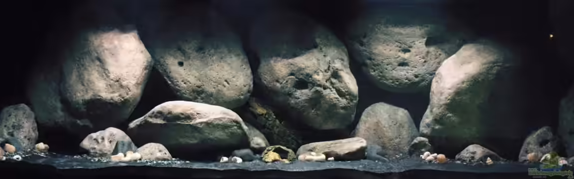 Mdima mchenga von TheToxicAvenger