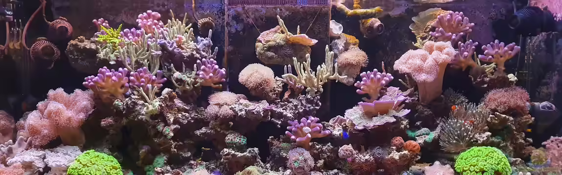 Meerwasser von Jens Berthold