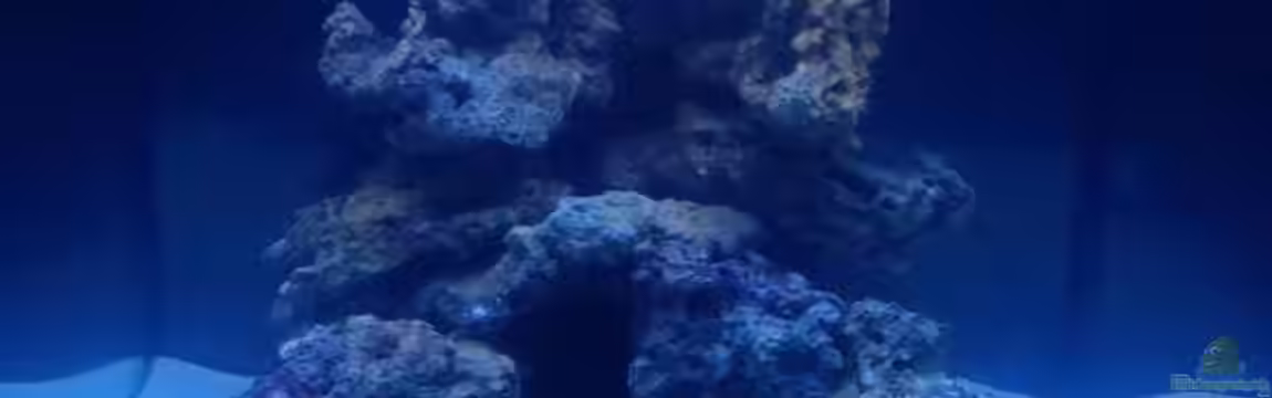 Meerwasser Würfel von chR576