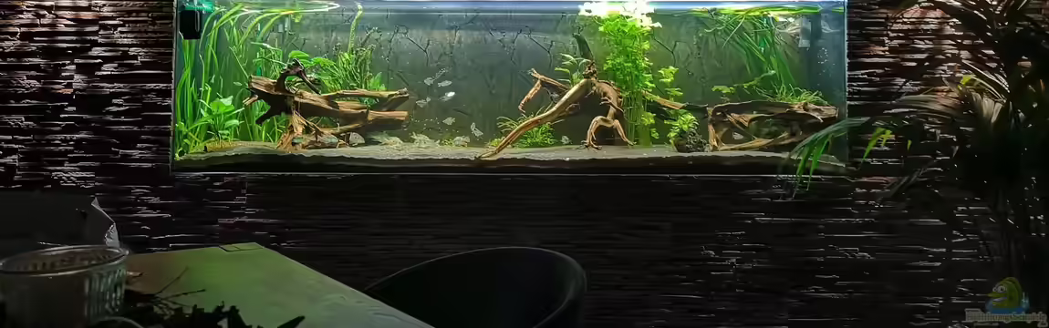 Mein 1050er von Stefan Heins