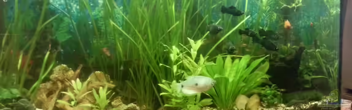 Mein Anfang von Simon Schmitt