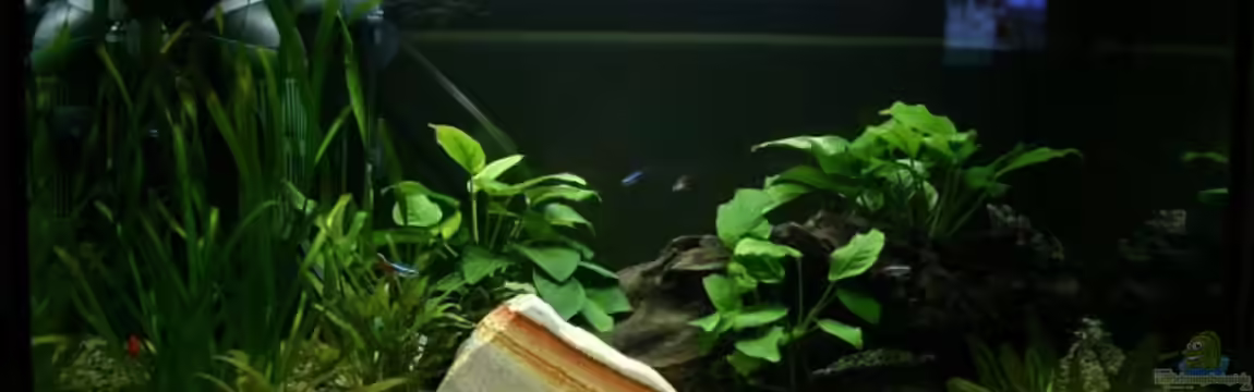 Mein erstes Becken - NICHT MEHR VORHANDEN von Christoph904