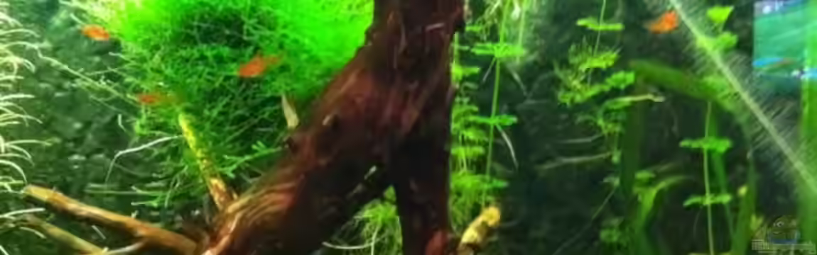 Mein erstes größeres Projekt von Daniel B