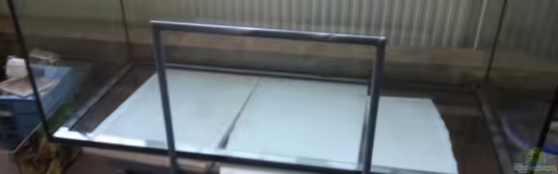 mein erstes meerwasserbecken von slobe