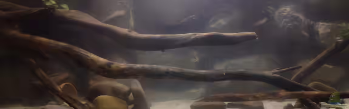 Mein erstes von Ca36du