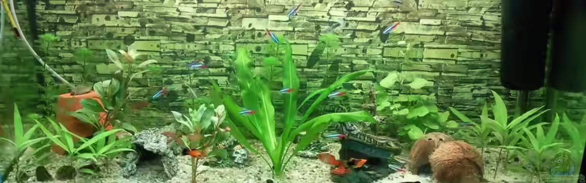 Mein erstes von Michael Richter