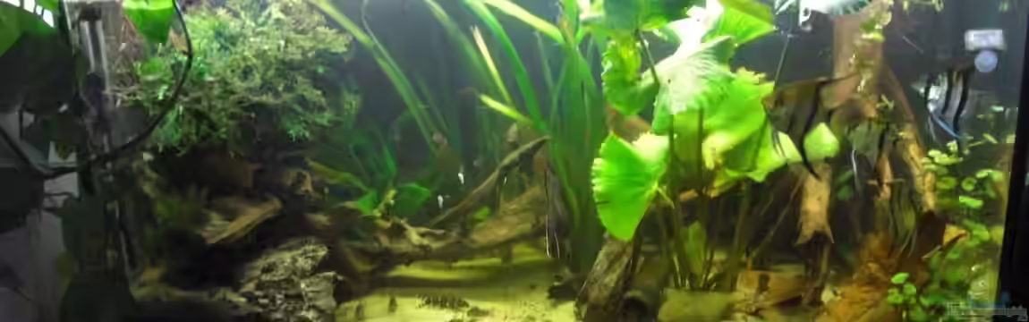 Mein Großes von Sebastian Ogorek