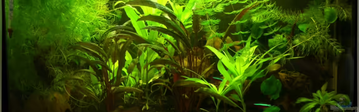 Mein kleines Erstes von DerAusDemNixKam