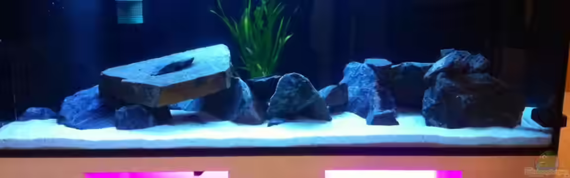 Mein Malawi Dream von Jens Peter Herrmann