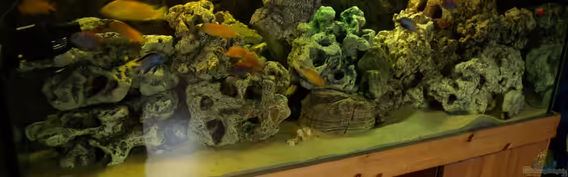 Mein Malawi von Erwin12