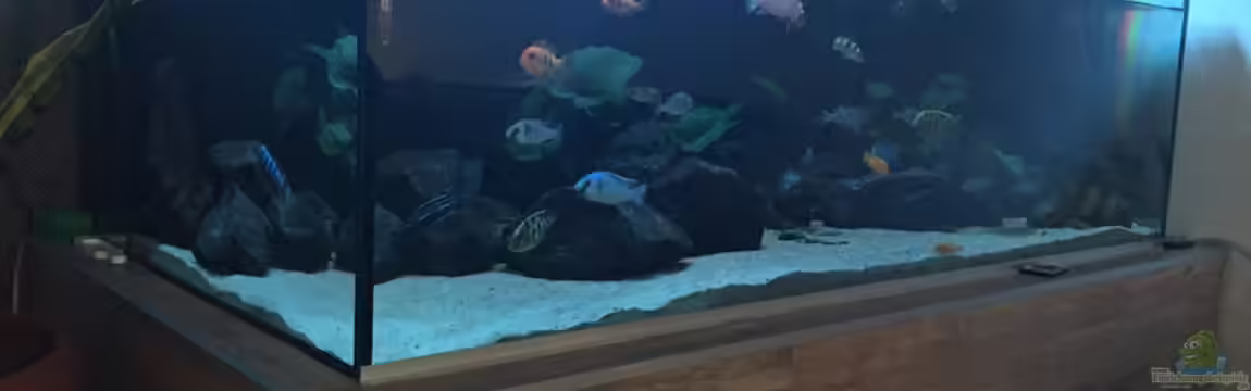 Mein Malawi von Milan1986