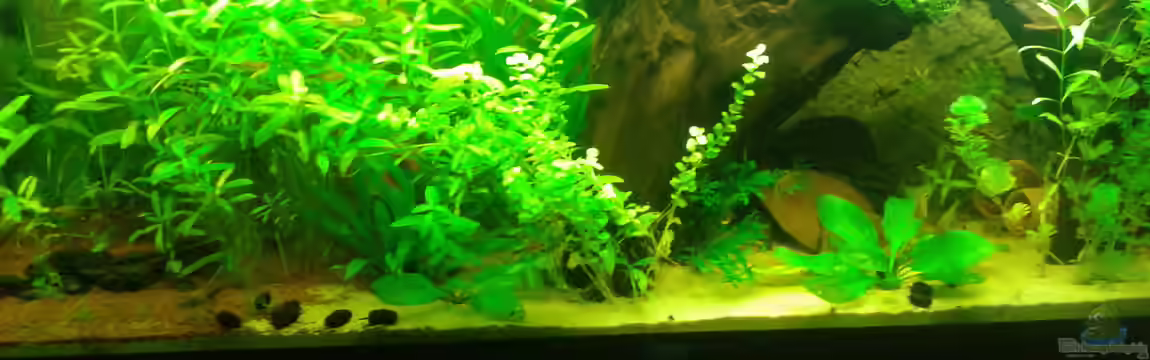 Mein Neues von Deoroller