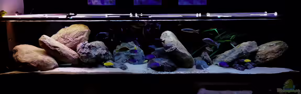 Mein Räubertraum von RalfB